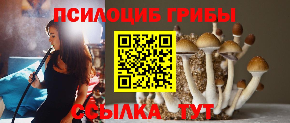 Галлюциногенные грибы Magic Shrooms Казань